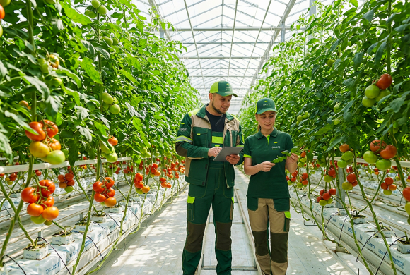 Tarımın en kritik adımını; başlangıcı, teknoloji ve tecrübeyle yeniden tanımlıyoruz.